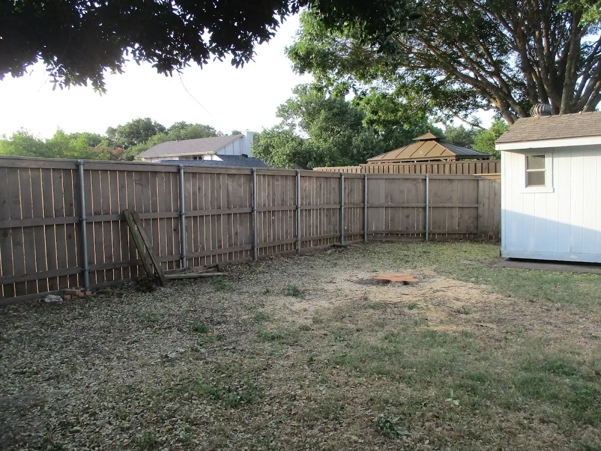 Cleared yard after professional tree removal in Laurelville